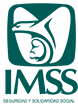 Logo-IMSS:2
